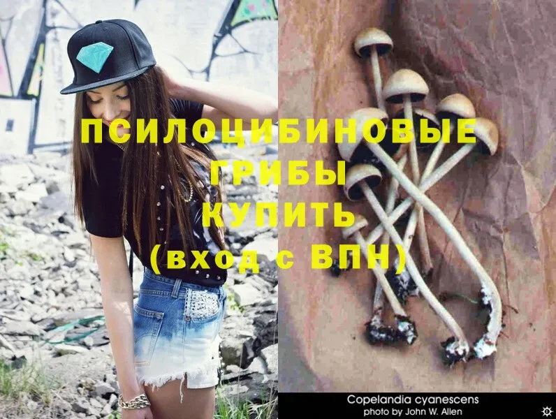 Галлюциногенные грибы Magic Shrooms  Новосибирск 