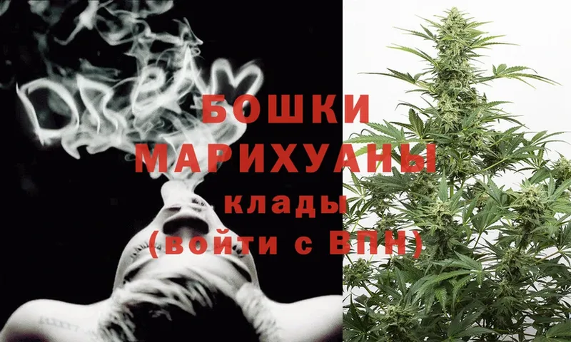 Каннабис THC 21%  как найти закладки  Новосибирск 